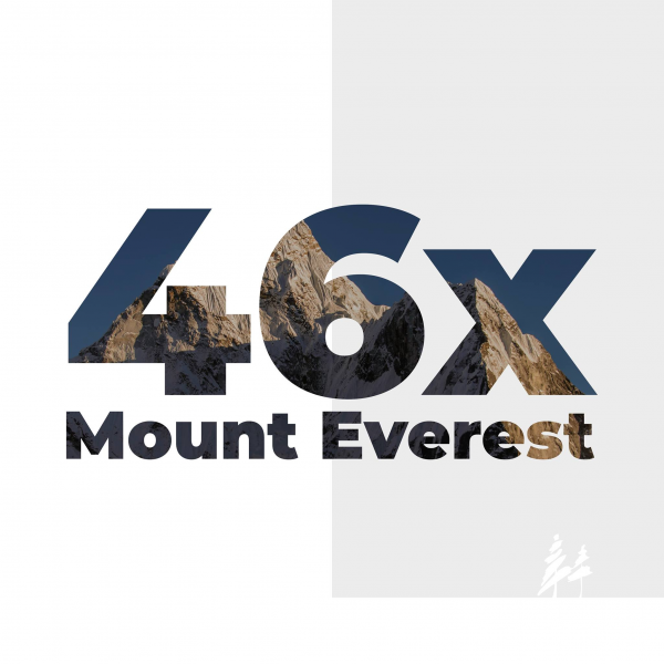 Wotan Forest - 46x Mount Everest